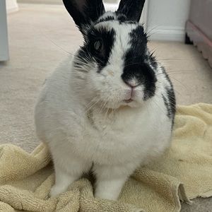 Meet your Posher, Cindy